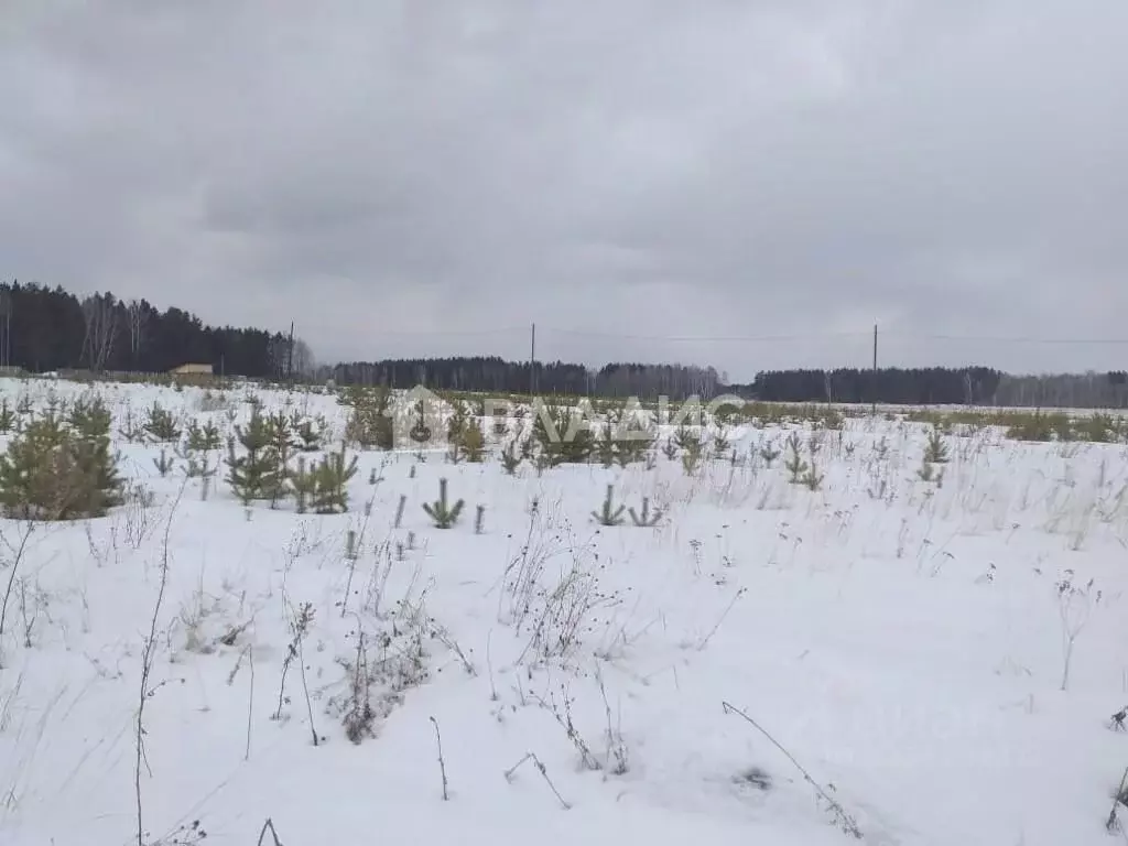 Участок в Красноярский край, Емельяново городское поселение, ... - Фото 1