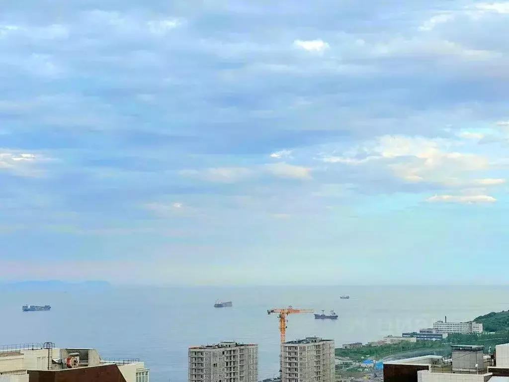 1-к кв. Приморский край, Владивосток ул. Архангельская, 23к1 (25.0 м) - Фото 2