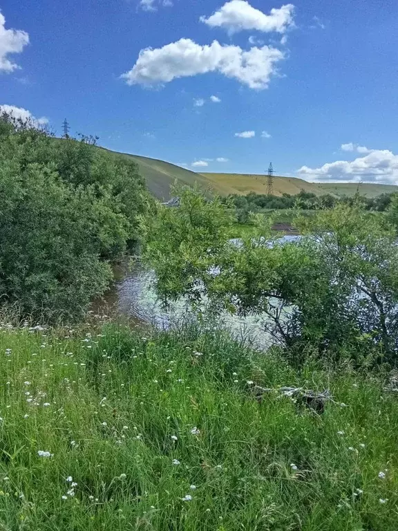 Участок в Иркутская область, Боханский район, Новая Ида муниципальное ... - Фото 1