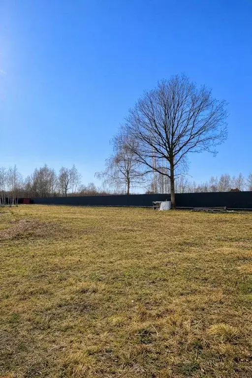 Участок, 22 сот., поселения (ижс) - Фото 1