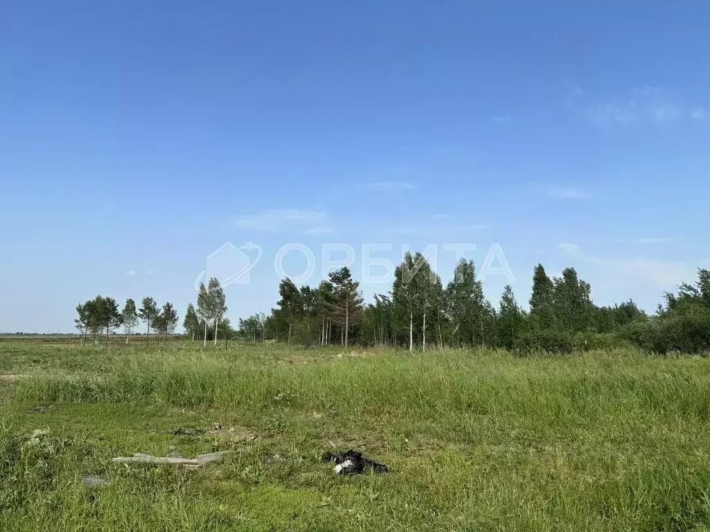 Участок в Тюменская область, Тюменский район, с. Ембаево  (266.0 сот.) - Фото 1