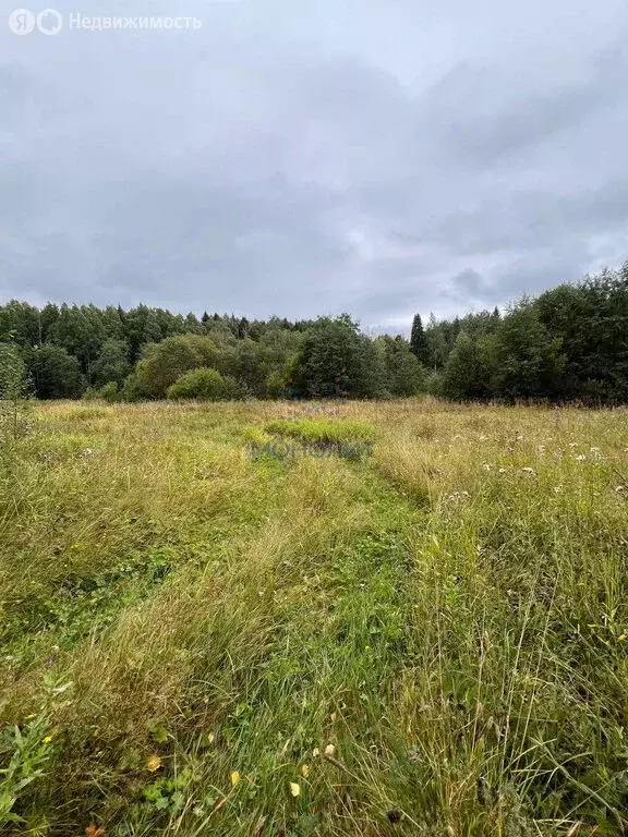 Участок в Кирово-Чепецкий район, Федяковское сельское поселение, ... - Фото 0