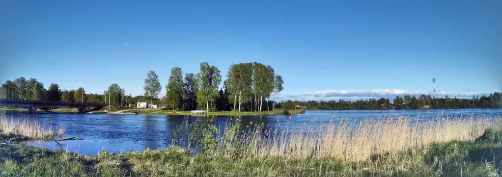 Участок в Ленинградская область, Всеволожский район, Свердловское ... - Фото 0