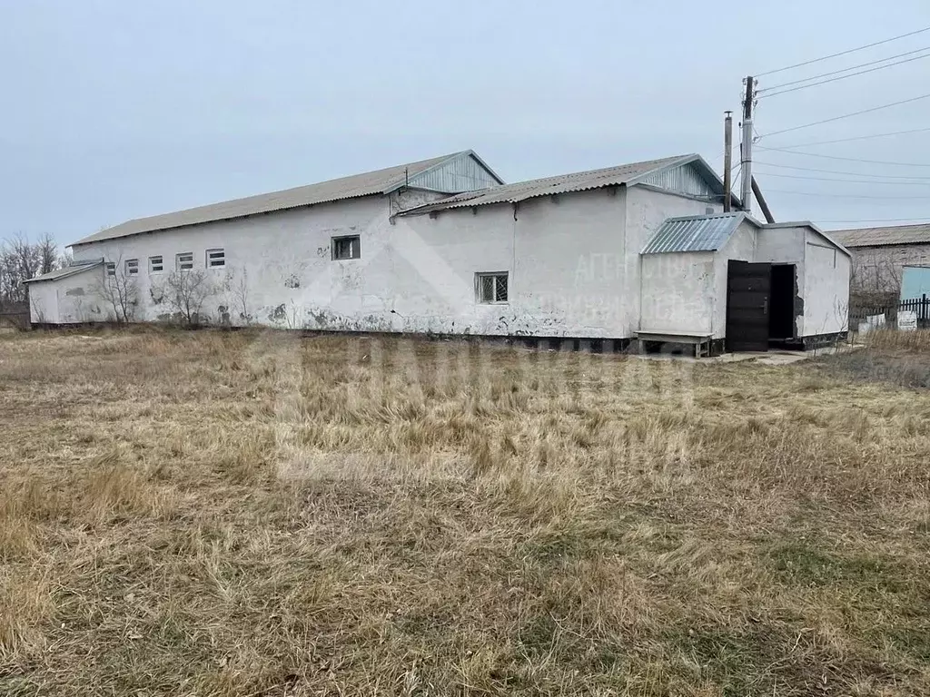 Помещение свободного назначения в Алтайский край, Рубцовский район, ... - Фото 0