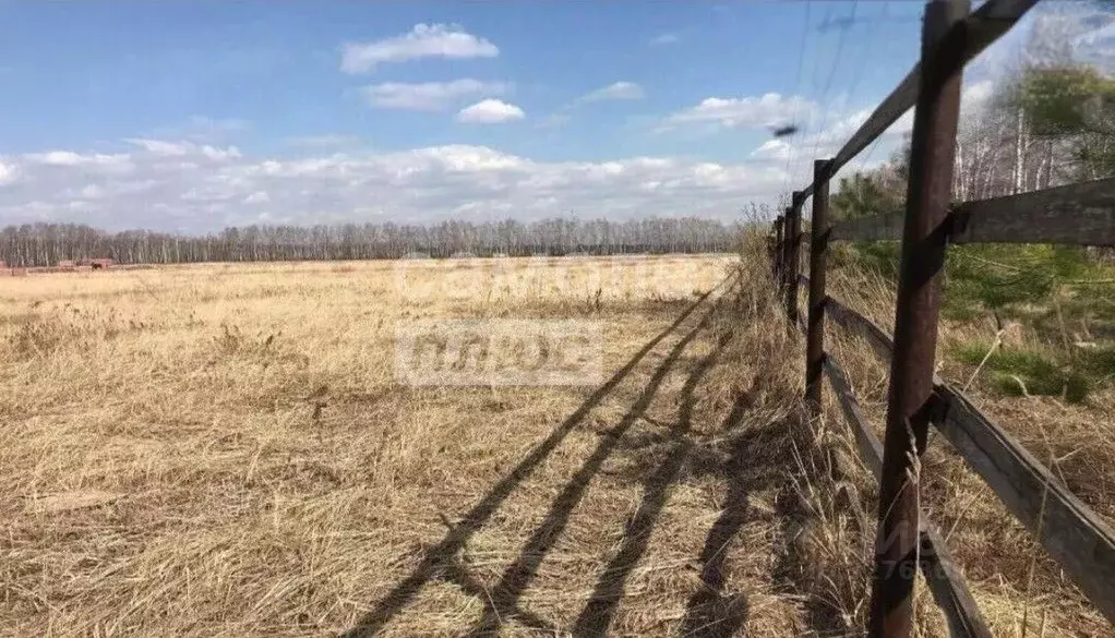 Участок в Рязанская область, Рязанский муниципальный округ, д. ... - Фото 2