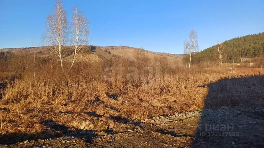 Участок в Алтай, Майминский район, с. Кызыл-Озек ул. Радужная (12.23 ... - Фото 1