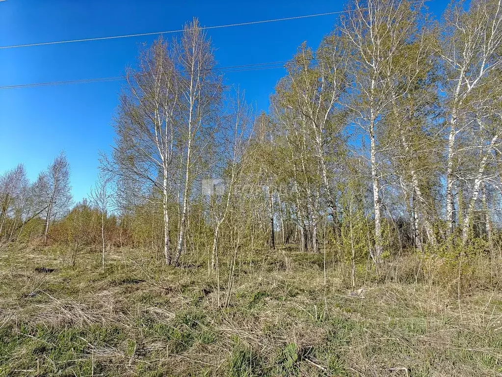 Участок в Новосибирская область, Новосибирск 2-й Биатлонный пер. (6.7 ... - Фото 0