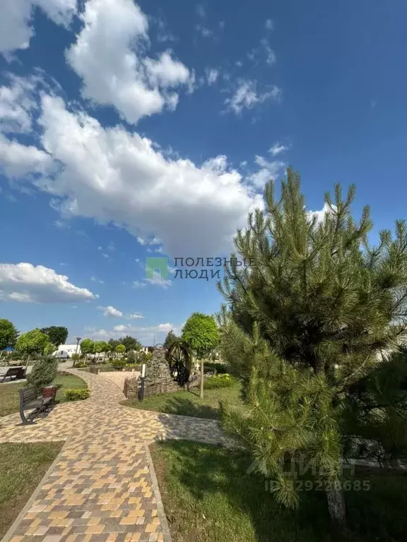 Участок в Крым, Сакский район, с. Столбовое ул. Молодежная, 15 (10.0 ... - Фото 1