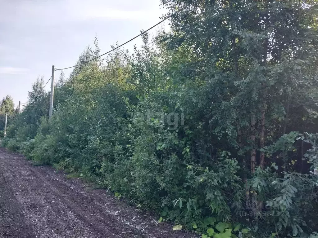 Участок в Архангельская область, Архангельск пос. Цигломень, ул. ... - Фото 1