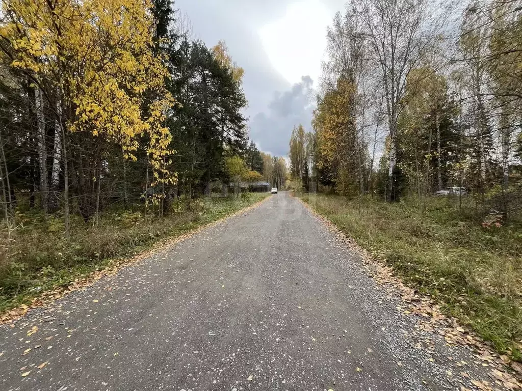 Участок в Свердловская область, Горноуральский муниципальный округ, ... - Фото 2