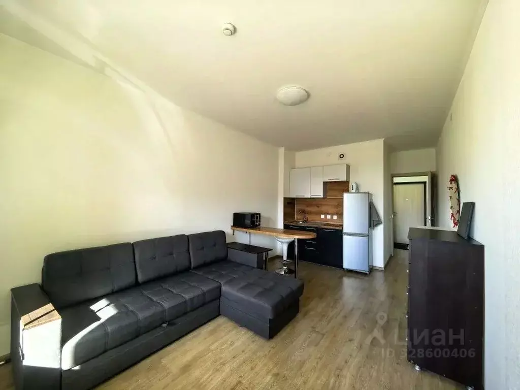 Студия Санкт-Петербург просп. Ветеранов, 169к2 (23.4 м) - Фото 1