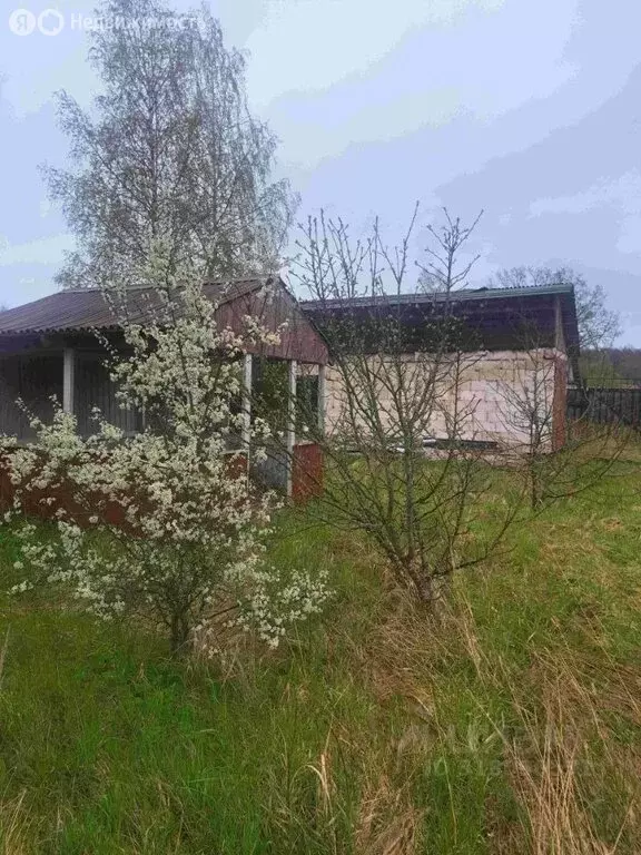 Участок в Пролетарий, Новгородская улица, 29 (15 м) - Фото 0