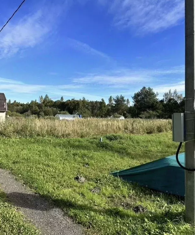 Участок в Новгородская область, Новгородский район, Трубичинское ... - Фото 2