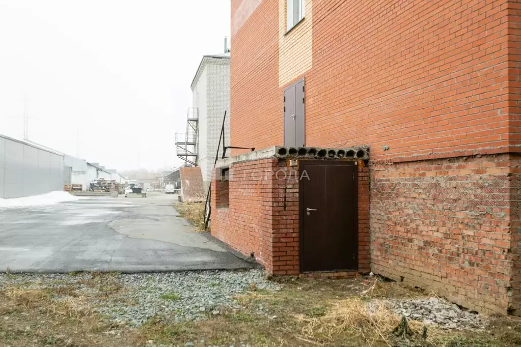 Помещение свободного назначения в Новосибирская область, Новосибирск ... - Фото 1