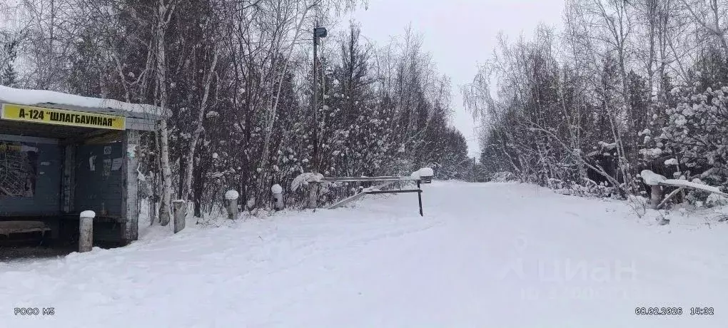 Участок в Саха (Якутия), Якутск городской округ, с. Маган  (11.0 сот.) - Фото 2