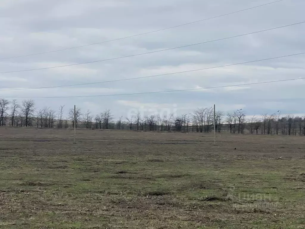 Участок в Крым, Симферопольский район, с. Урожайное, Имени Александра ... - Фото 1