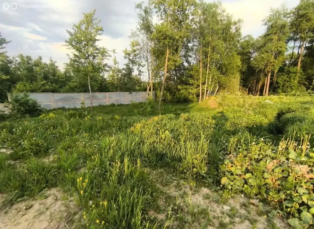 Участок в Московская область, городской округ Солнечногорск, КП ... - Фото 2