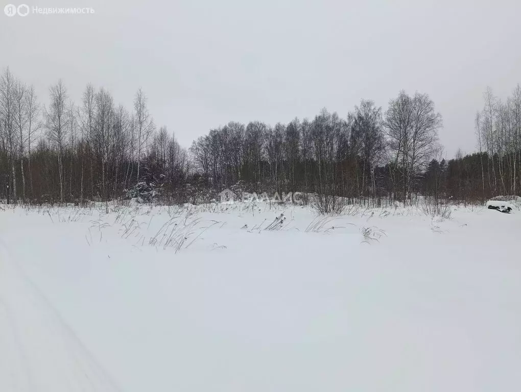 Участок в Суздальский район, муниципальное образование ... - Фото 2