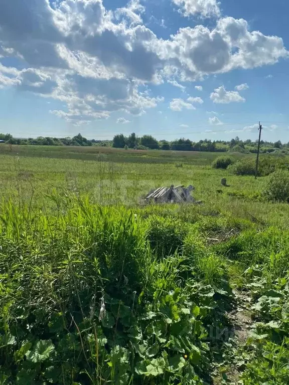 Участок в Калининградская область, Гурьевск ул. Горная, 28А (6.0 сот.) - Фото 2