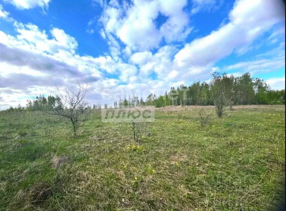 Участок в Рязанская область, Рыбновский муниципальный округ, д. ... - Фото 1