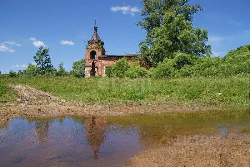 Участок в Владимирская область, Покров городской округ, д. Головино ... - Фото 2