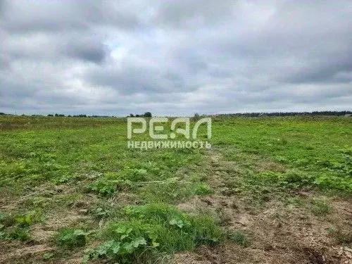 Участок в Ленинградская область, Волосовский район, Клопицкое с/пос, ... - Фото 0