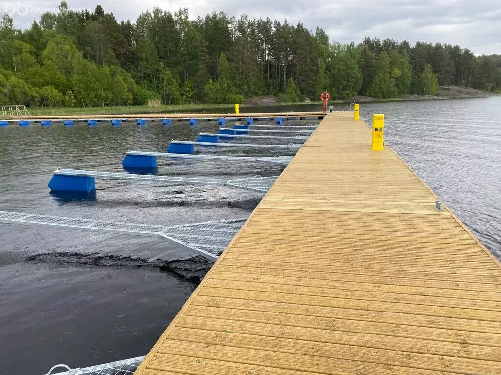 Участок в Московская область, Волоколамский муниципальный округ, КП ... - Фото 2