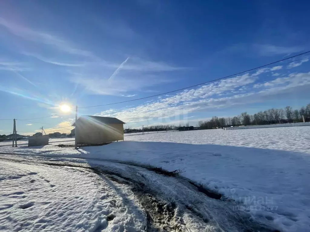 Участок в Ярославская область, Тутаевский муниципальный округ, пос. ... - Фото 2