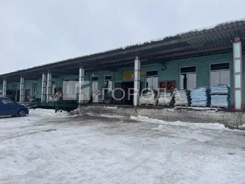 Склад в Новосибирская область, Новосибирск Толмачевская ул., 19 (630 ... - Фото 1
