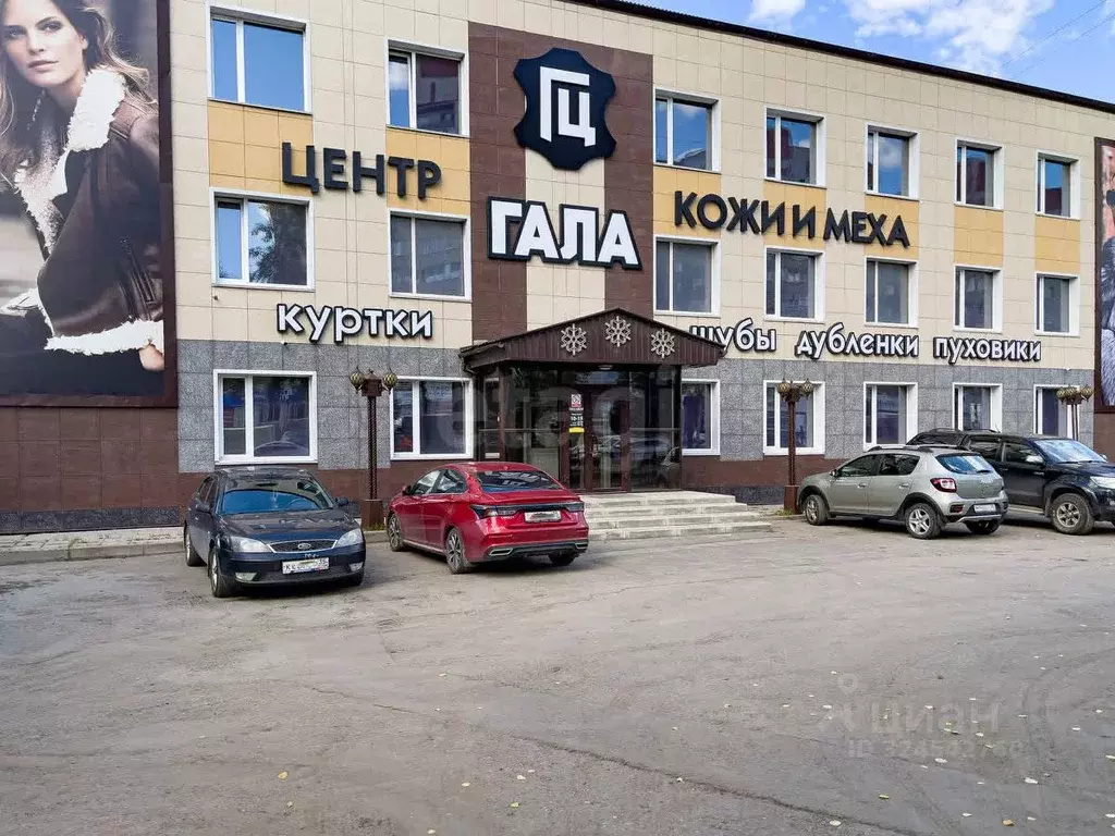 Помещение свободного назначения в Вологодская область, Вологда ... - Фото 1