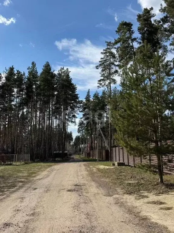 Участок в Воронежская область, Рамонский район, Горожанское с/пос, д. ... - Фото 1