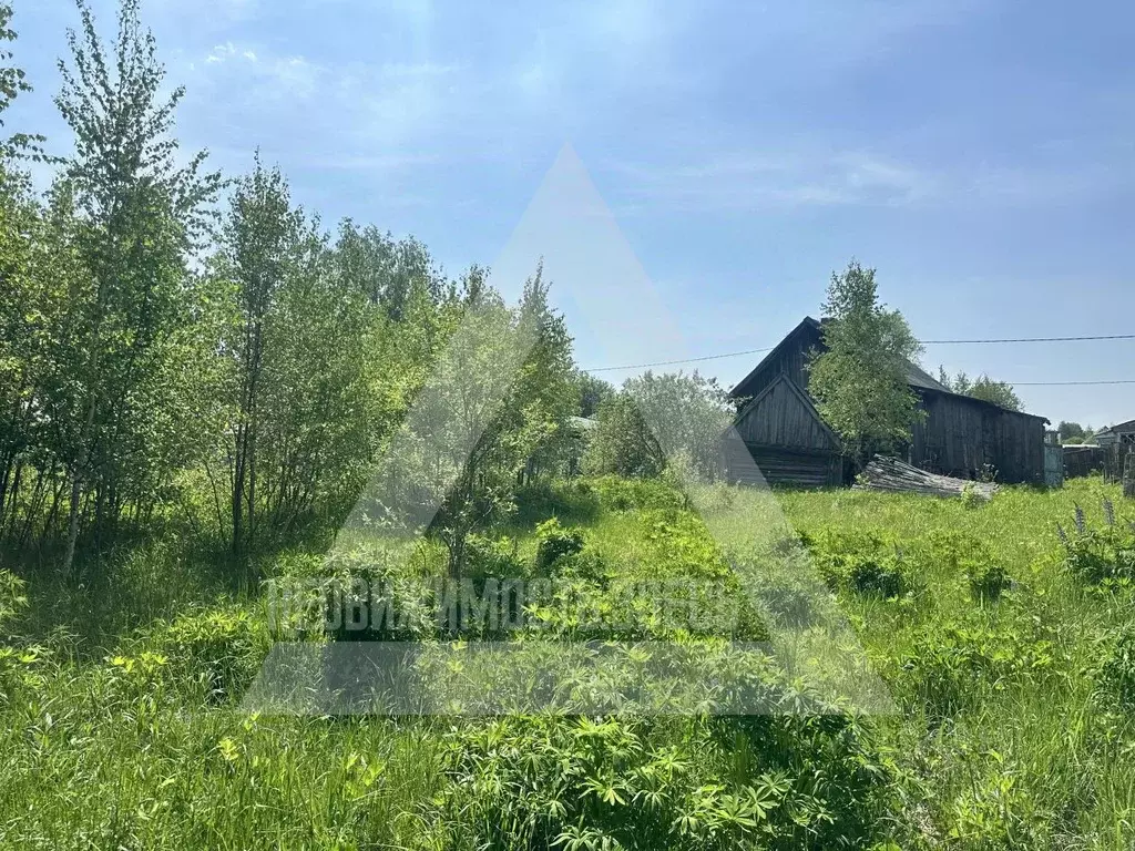 Участок в Владимирская область, Судогодский район, Мошокское ... - Фото 1