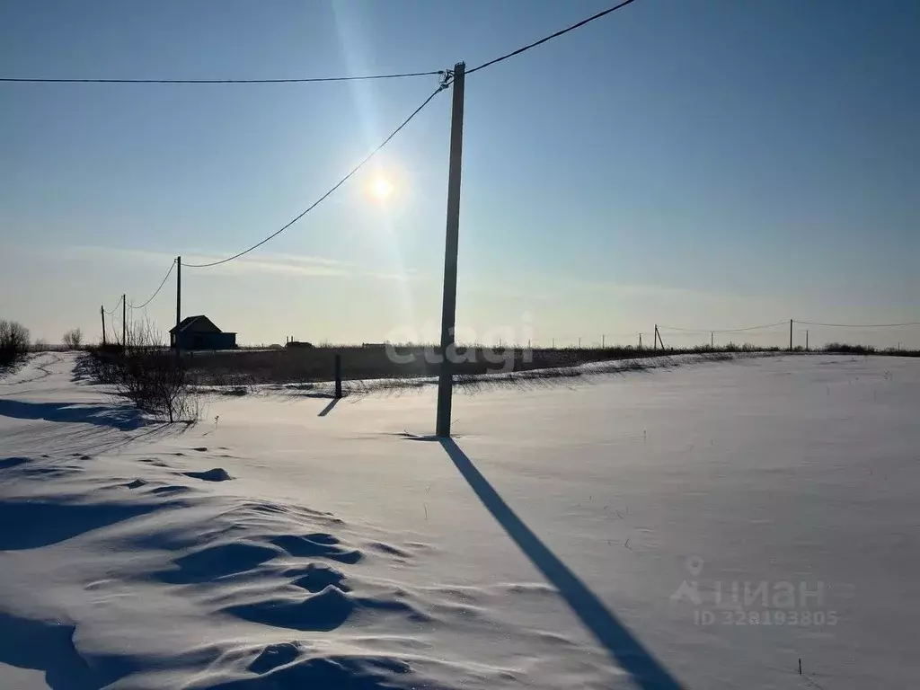 Участок в Амурская область, Благовещенский район, с. Усть-Ивановка  ... - Фото 1