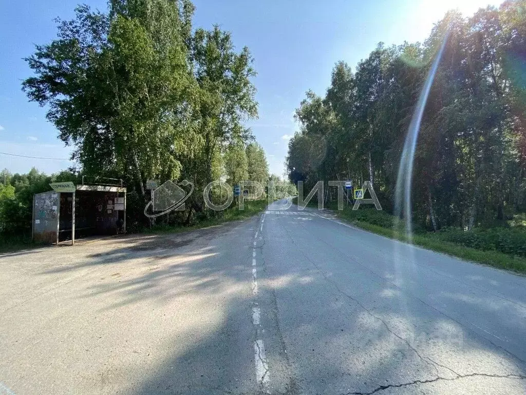 Участок в Тюменская область, Нижнетавдинский район, Лесная сказка СНТ  ... - Фото 1