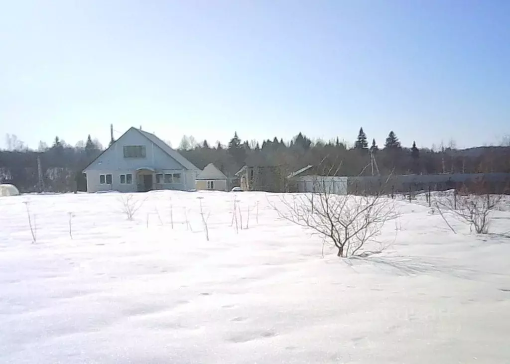 Участок в Московская область, Шаховская муниципальный округ, д. ... - Фото 2