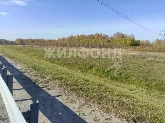 Участок в Новосибирская область, Мошковский район, с. Барлак ул. ... - Фото 1