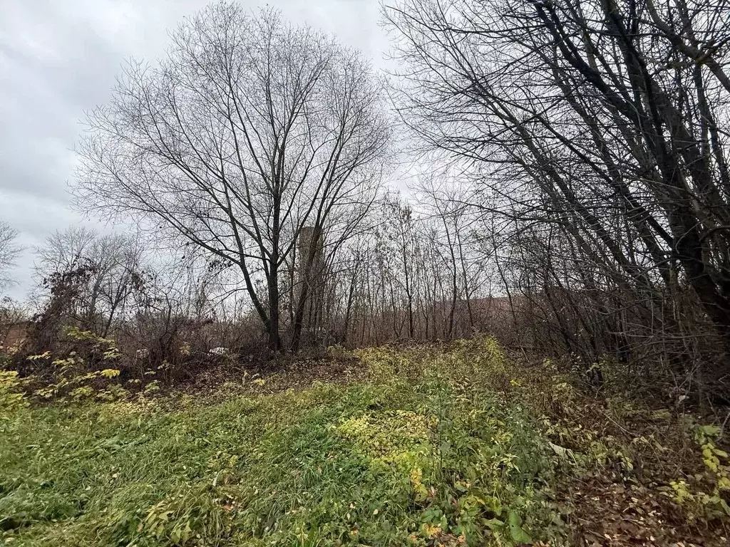 Участок в Московская область, Подольск городской округ, пос. ... - Фото 2