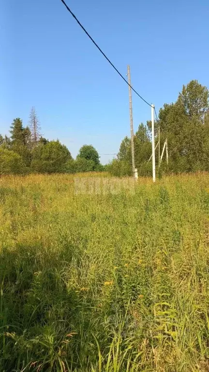 Участок в Вологодская область, Харовский муниципальный округ, пос. ... - Фото 1