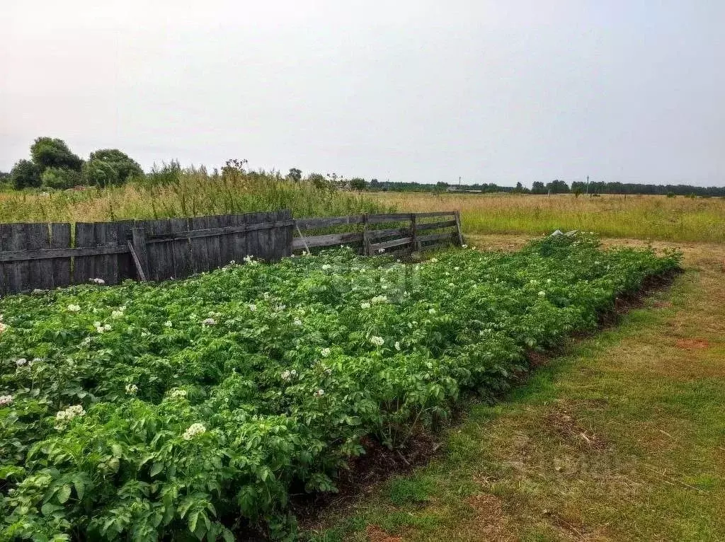 Участок в Свердловская область, Талицкий муниципальный округ, д. Сугат ... - Фото 1