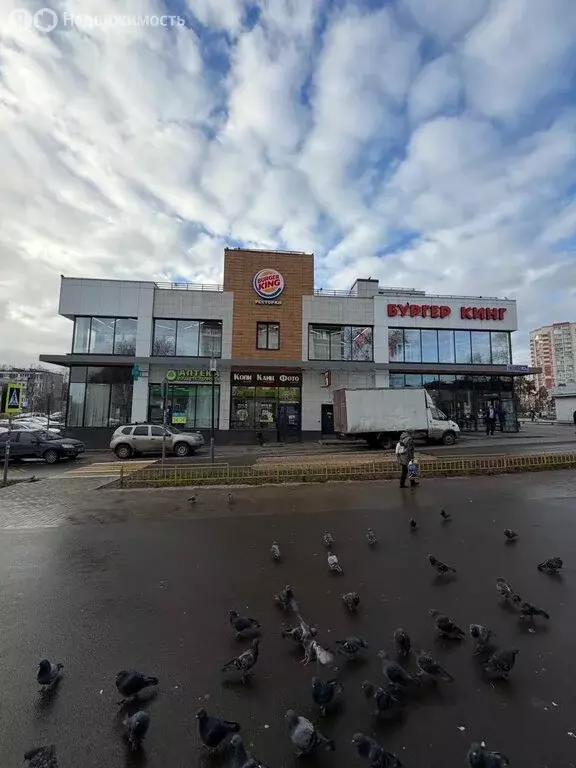 Помещение свободного назначения (527 м) - Фото 2