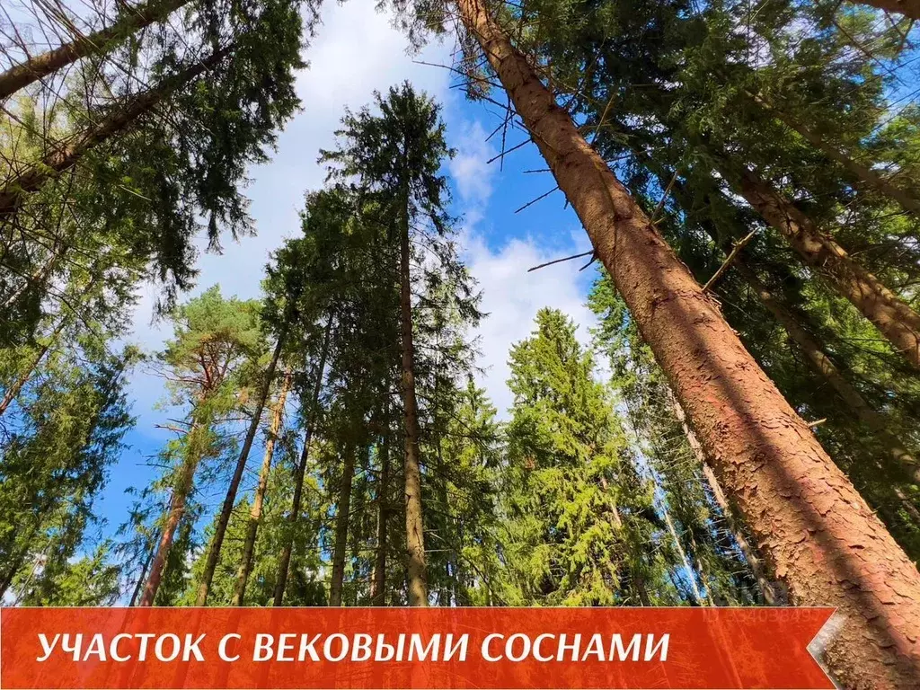 Участок в Московская область, Одинцовский городской округ, д. ... - Фото 2