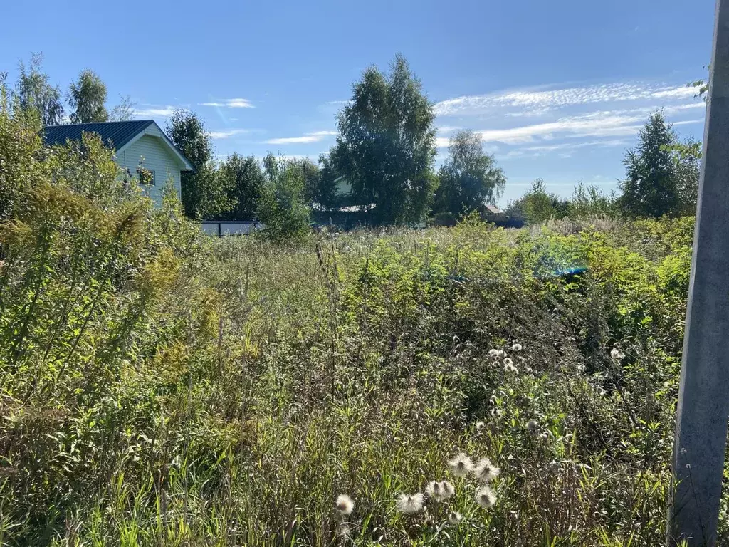 Участок в Нижегородская область, Бор муниципальный округ, д. ... - Фото 1