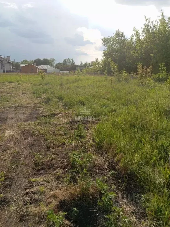 Участок в Воронежская область, Новоусманский район, с. Бабяково Дачная ... - Фото 0
