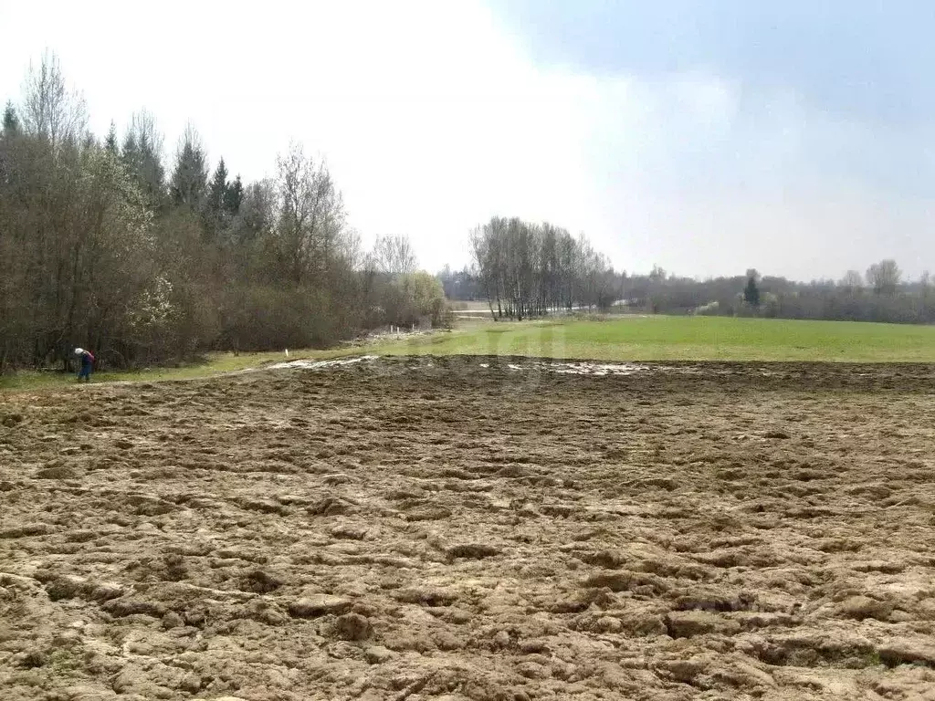 Участок в Смоленская область, Ярцево Духовщинское ш. (1300.0 сот.) - Фото 1