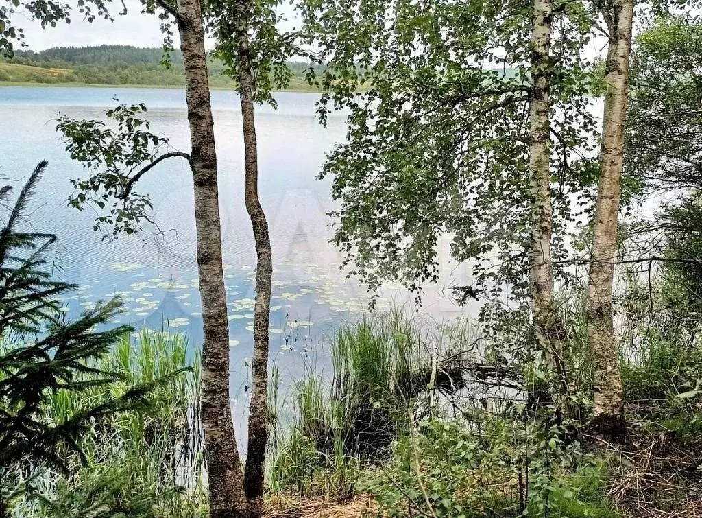 Участок 12,5 сот. (СНТ, ДНП) - Фото 0