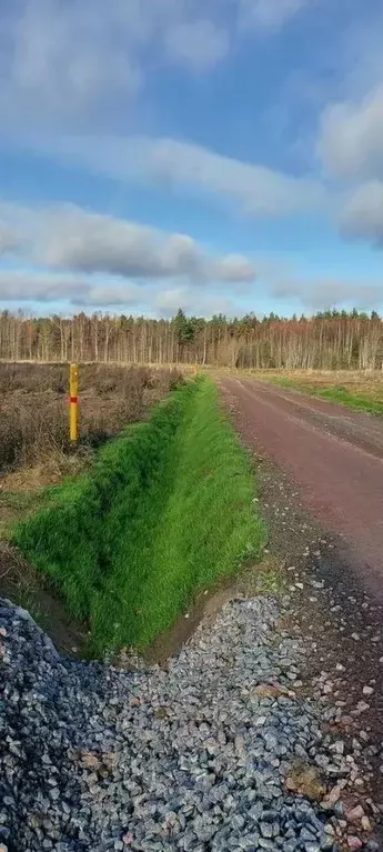 Участок в Ленинградская область, Приозерский район, Сосновское с/пос, ... - Фото 1