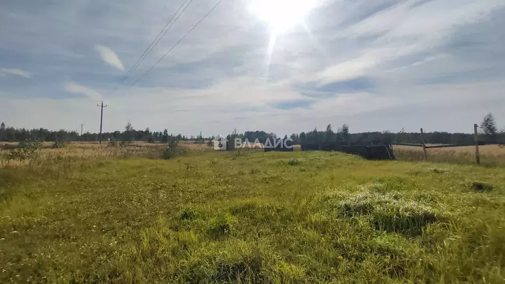 Участок в Владимирская область, Собинский муниципальный округ, д. ... - Фото 1