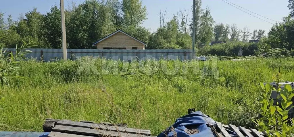 Участок в Новосибирская область, Новосибирск Сибиряк СНТ,  (9.0 сот.) - Фото 1