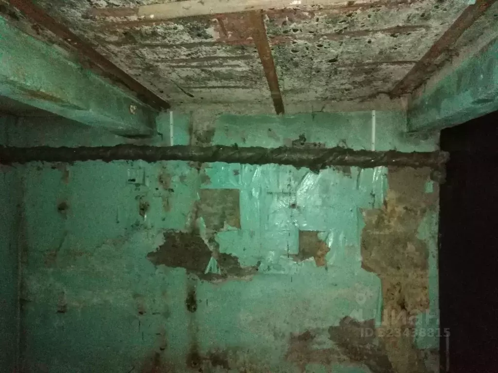 Помещение свободного назначения в Алтайский край, Барнаул просп. ... - Фото 2