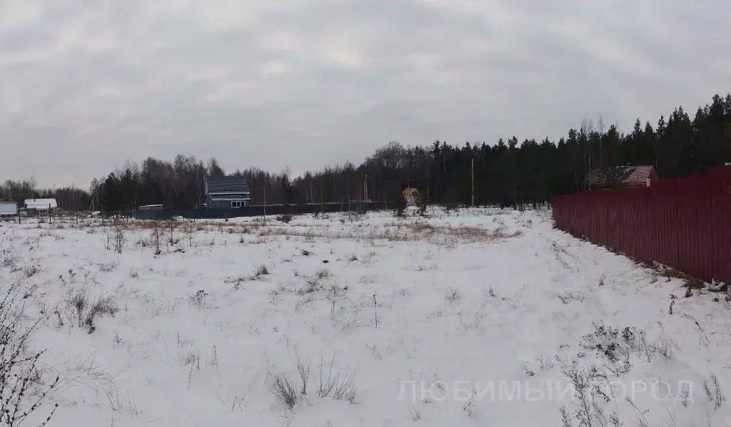 Участок в Нижегородская область, Нижний Новгород пос. Березовая Пойма, ... - Фото 0